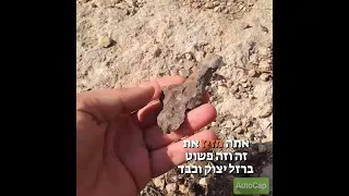 בואו לראות איתי איך ארץ ישראל יפה. סיור קצר בגבעת הרואה בבנימין.