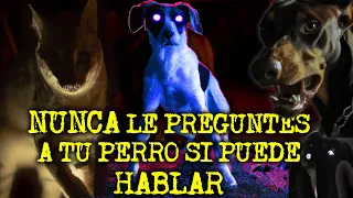 EXPERIENCIAS ATERRADORAS CON PERROS Y ANIMALES ACTUANDO COMO HUMANOS