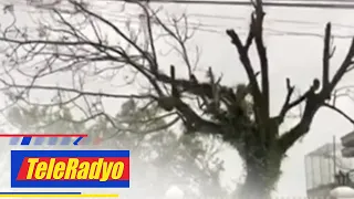 40,000 flee their homes in Camarines Sur amid Typhoon Ulysses | TeleRadyo