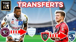 Quels sont les MEILLEURS transferts du Top 14 ?