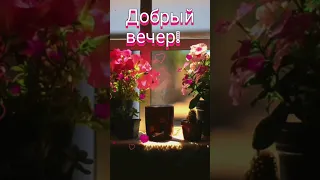 Добрый вечер!