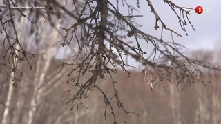 20.11.2017 Троих туристов нашли в застрявшем внедорожнике на берегу Охотского моря