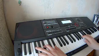 ТОПОЛИНЫЙ ПУХ COVER CASIO CT-X5000