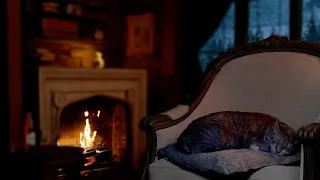 🐱🔥Расслабьтесь с мурлыкающим котом и потрескивающим камином, спите уютной зимой