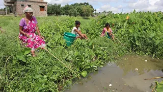 Fishing video || traditional woman & girl catch hook fishing 🎣 in village mud canal water #video