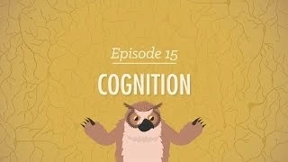 Cognition - How Your Mind Can Amaze and Betray You: Crash Course Psychology #15