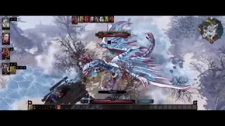 Divinity: Original Sin II - Winter Dragon