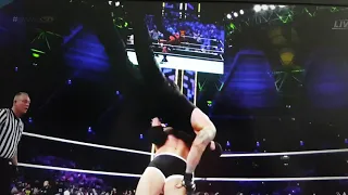 Undertaker vs Goldberg BOTCH