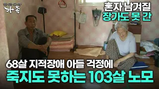 [다큐 ‘가족’ 227회 1부] 혼자 남겨질 장가도 못 간 68살 지적장애 아들 걱정에 죽지도 못하는 103살 어머니