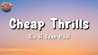 🎵 Sia - Cheap Thrills || Jason Mraz, Miley Cyrus, Adele (Mix Lyrics)