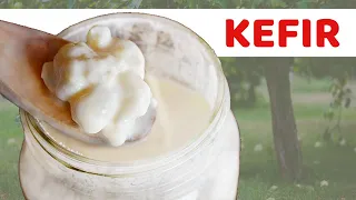 Bere 1 bicchiere di kefir al mattino fa questo al tuo corpo | Quali sono i vantaggi del kefir?