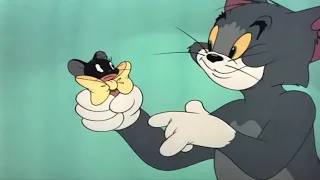 Tom And Jerry - Casanova Cat 1951 - Part 1