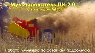 Мульчувач ПН-2,0 - відео в роботі (трактор МТЗ, по стерні соняшника)