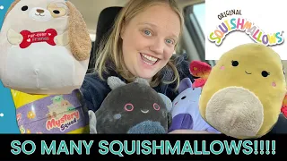 A jam-packed, fun-filled day of Squishmallow hunting!