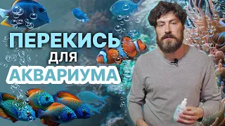 🐠Аквариум и перекись водорода - основные методы применения