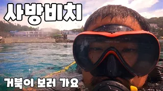 🇵🇭 사방 스쿠버 거북이 만나러 출발!! Sabang Beach Mindoro.