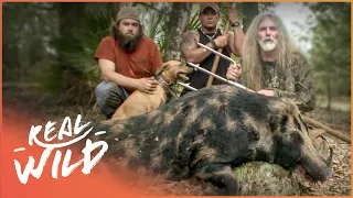 Taking Down A Giant Wild Boar! | Savage Wild | Real Wild