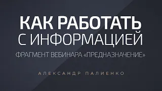 Как работать с информацией. Александр Палиенко.