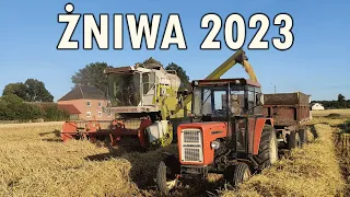 Żniwa 2023 🔥 Zagotowana siontka? 🔥 Ogień na tłoki 🔥 Ursus C-330 vs 7 ton 🔥 Koszenie jęczmienia 2023!