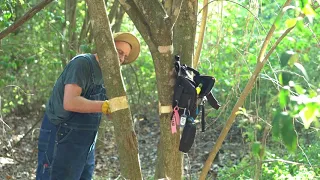 Demonstration of Invasive Tree Girdling with Cliff Tyllick