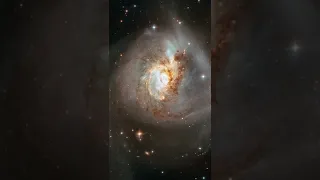 Peculiar galaxy NGC 3256 #shorts