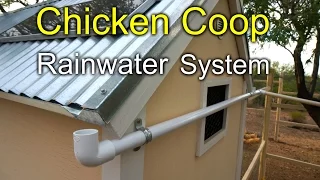 Chicken Coop Rainwater Harvesting System - How to
