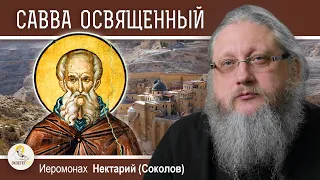 САВВА ОСВЯЩЕННЫЙ. Иеромонах Нектарий (Соколов)