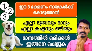 കൊടുക്കുന്നെങ്കിൽ നായകൾക്ക് കൊടുക്കണം. ഈ 3 ഭക്ഷണം. ദുരിതം എല്ലാം മാറും.നിശ്ചയം.