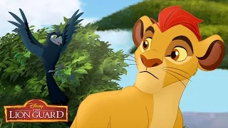 A Trail to Hope | Music Video | The Lion Guard | Disney XD