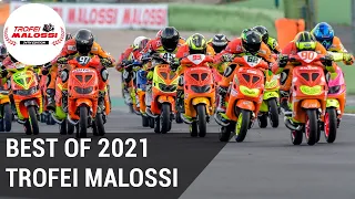 TROFEI MALOSSI 2021 - The complete best of