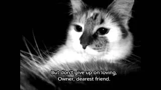 Owner, Dearest Friend ~ Letter From a Lost Pet (Pet Memorial)