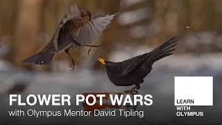Flower Pot Wars with David Tipling