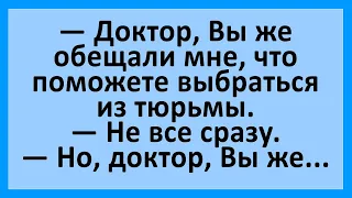 Доктор, вы же обещали помочь мне выбраться из тюрьмы... Сборник смешных анекдотов! Юмор!