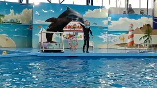 Дельфинарий в Сочи Парк /Адлер