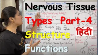 Nervous Tissue in Hindi | Part-4  | Neuron | Types | Structure | Functions