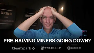 Bitcoin Miners Repeating Last Pre Halving Cycle? Cleanspark, Terawulf, & Digihost September Update!