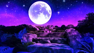 Peaceful Night 💜 Deep Sleep Music 528Hz | Calm Gentle Sleeping Music | Healing Relaxing Music