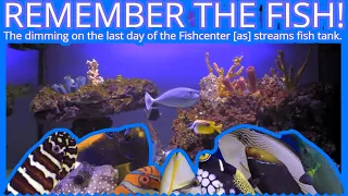 Last Fish Tank - [as] streams - Fishcenter Live Fish Tank - (Dim Out - No Sound)