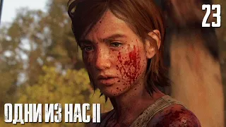 ПОИСКИ В САНТА-БАРБАРЕ ● THE LAST OF US 2 ● ПРОХОЖДЕНИЕ #23