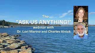 “Ask us Anything” Webinar 2022