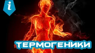 Термогеники. Жиросжигатели. Механизм работы и способ приема.