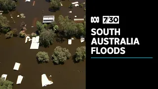 The biggest floodwaters to hit South Australia in decades have taken their toll on the state | 7.30