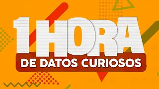 1 HORA de DATOS CURIOSOS y COSAS QUE NO SABÍAS ⏰🤯