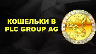 Platincoin 2 кошелька в системе какие функции несут и куда деньги приходят PLC GROUP AG платинкоин