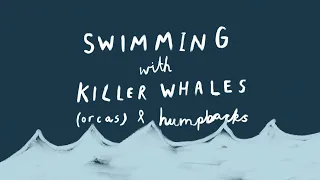 Swimming with Orcas and Humpback Whales In Norway