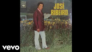 José Ribeiro - Um Coração Não É Brinquedo (Áudio Oficial)
