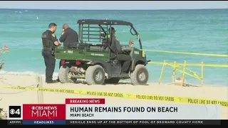 Fetus found on Miami Beach