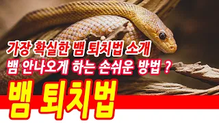 가장 확실한 뱀 퇴치 방법 소개, 뱀 안나오게 하는 방법, 이렇게 하면 뱀은 무조건 사라집니다. 뱀 없애는법, 뱀 퇴치