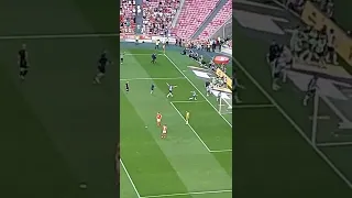 GOL DO TÍTULO DO PORTO NO JOGO CONTRA O BENFICA #shorts #Portugal