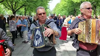 Roda de tocadores de Concertina | Domingo | Arcos de Valdevez |19|5|2024.